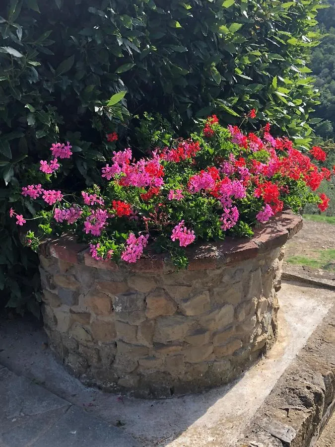 Farm stay Agriturismo La Casella Castelfranco di Sopra