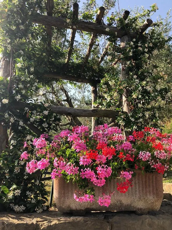 Agriturismo La Casella Castelfranco di Sopra Farm stay